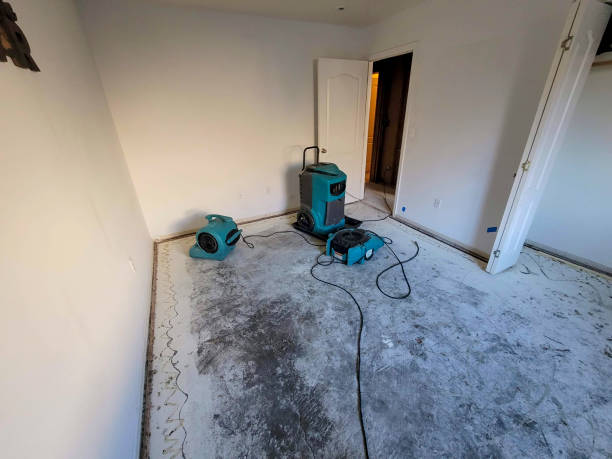 Best Water damage contractors near me  in Eudora, AR