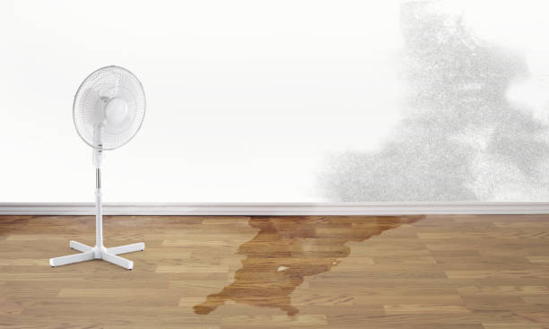 Best Ceiling water damage repair  in Eudora, AR