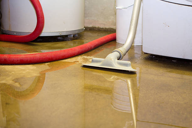 Best Residential water damage restoration  in Eudora, AR