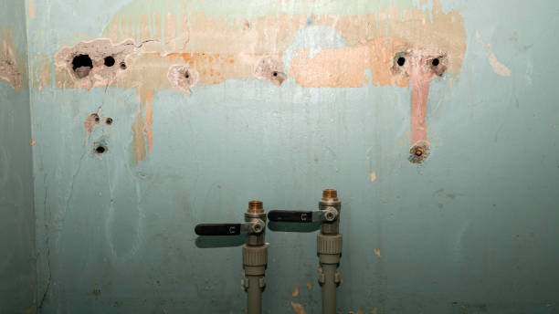 Carpet water damage restoration in AR