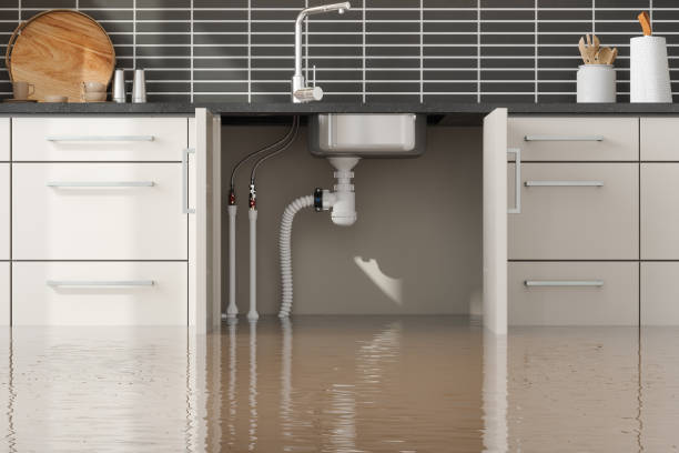 Best Basement water damage restoration  in Eudora, AR