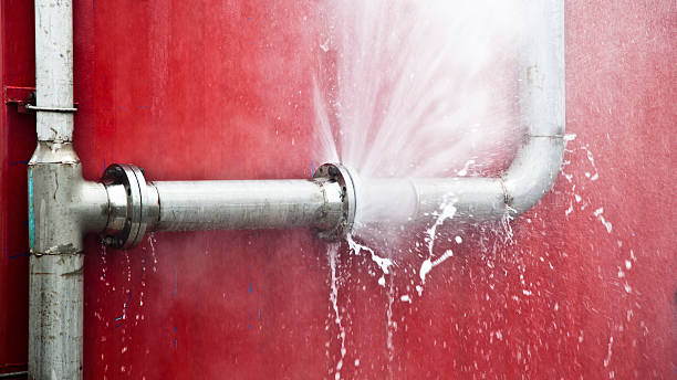 Best Flood restoration services  in Eudora, AR