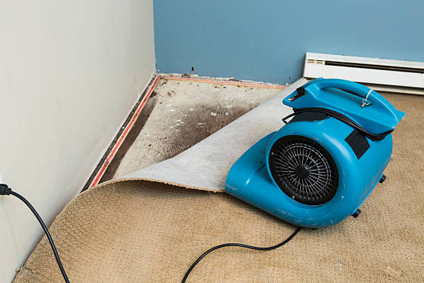 Best Carpet water damage restoration  in Eudora, AR